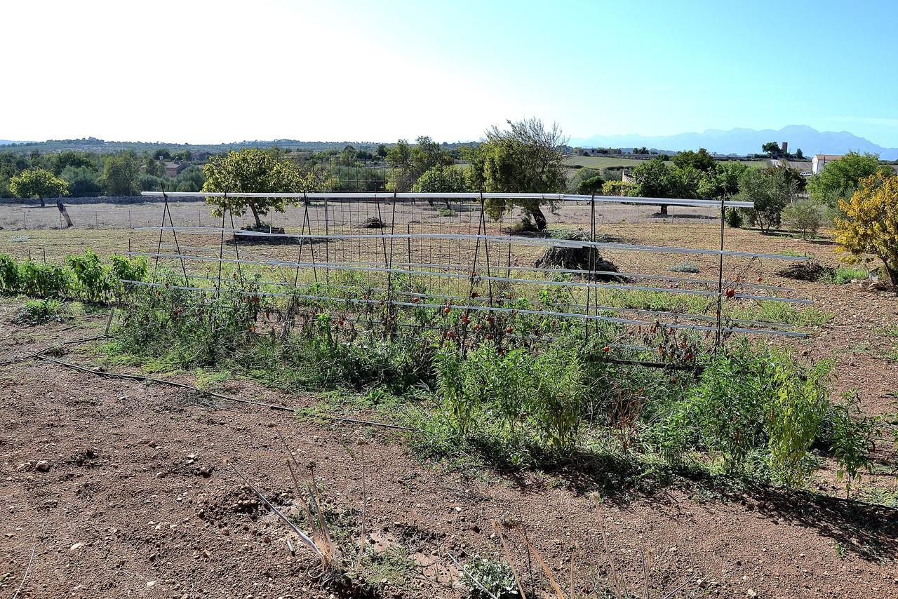 054 Finca Es Bosquerro Etv5362 By Mallorca Charme Santa Margalida Kültér fotó